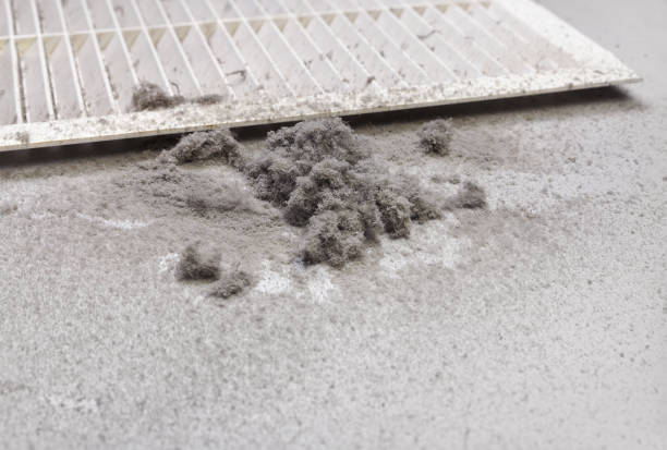 Best Affordable Air Duct Cleaning  in Ciborne, LA