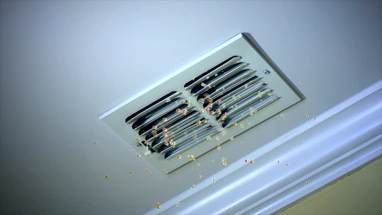 Best Air Duct Cleaning Near Me  in Ciborne, LA